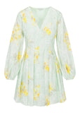 Yara Poplin Dress