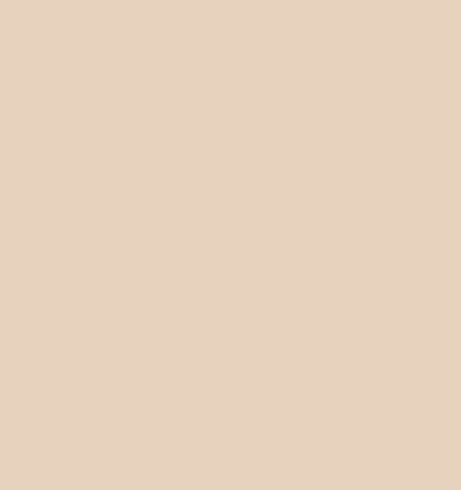 Raquel Twill Dress Raquel Twill Dress