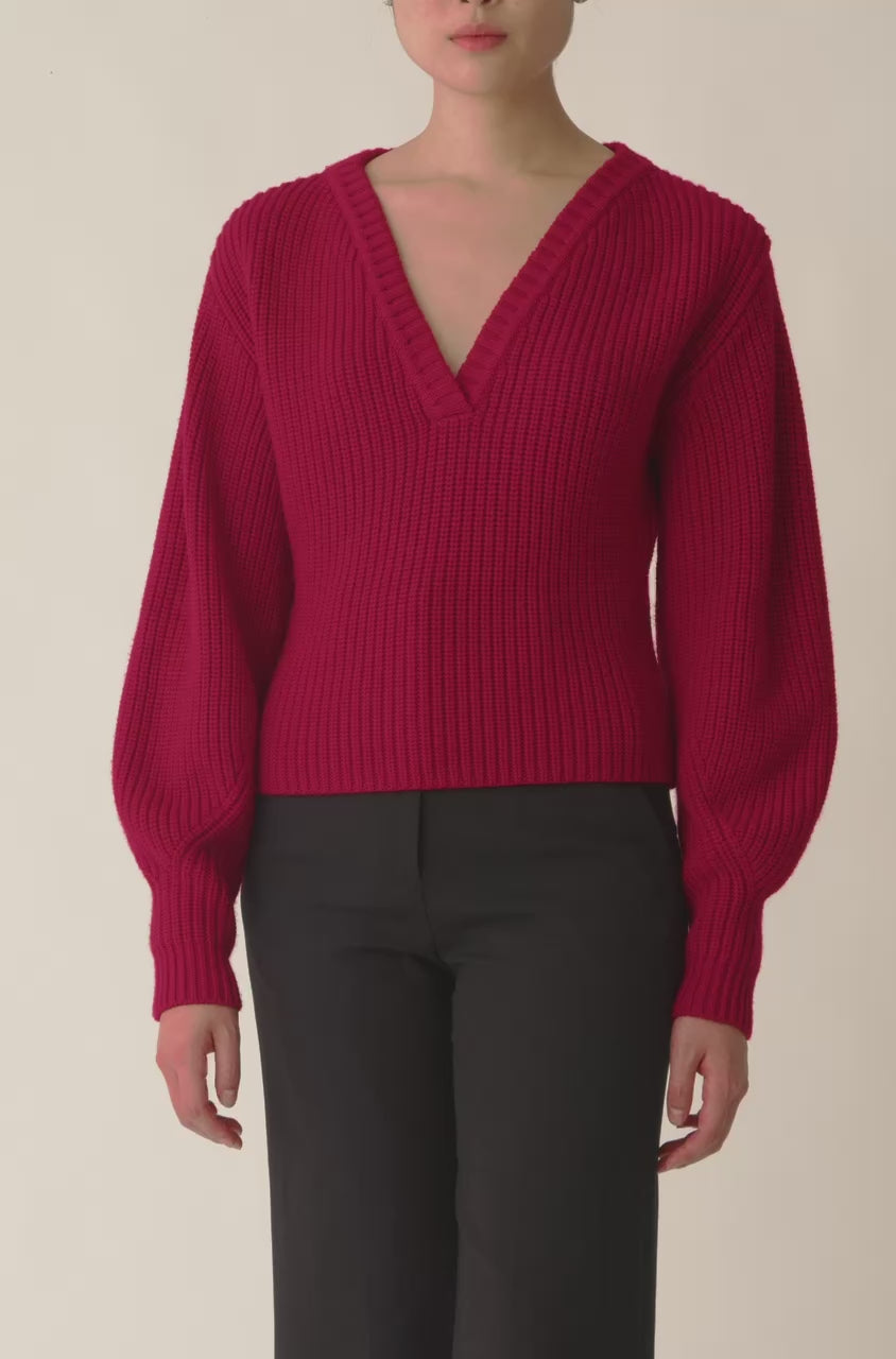 Novelty Wool Victorian Slv V Neck