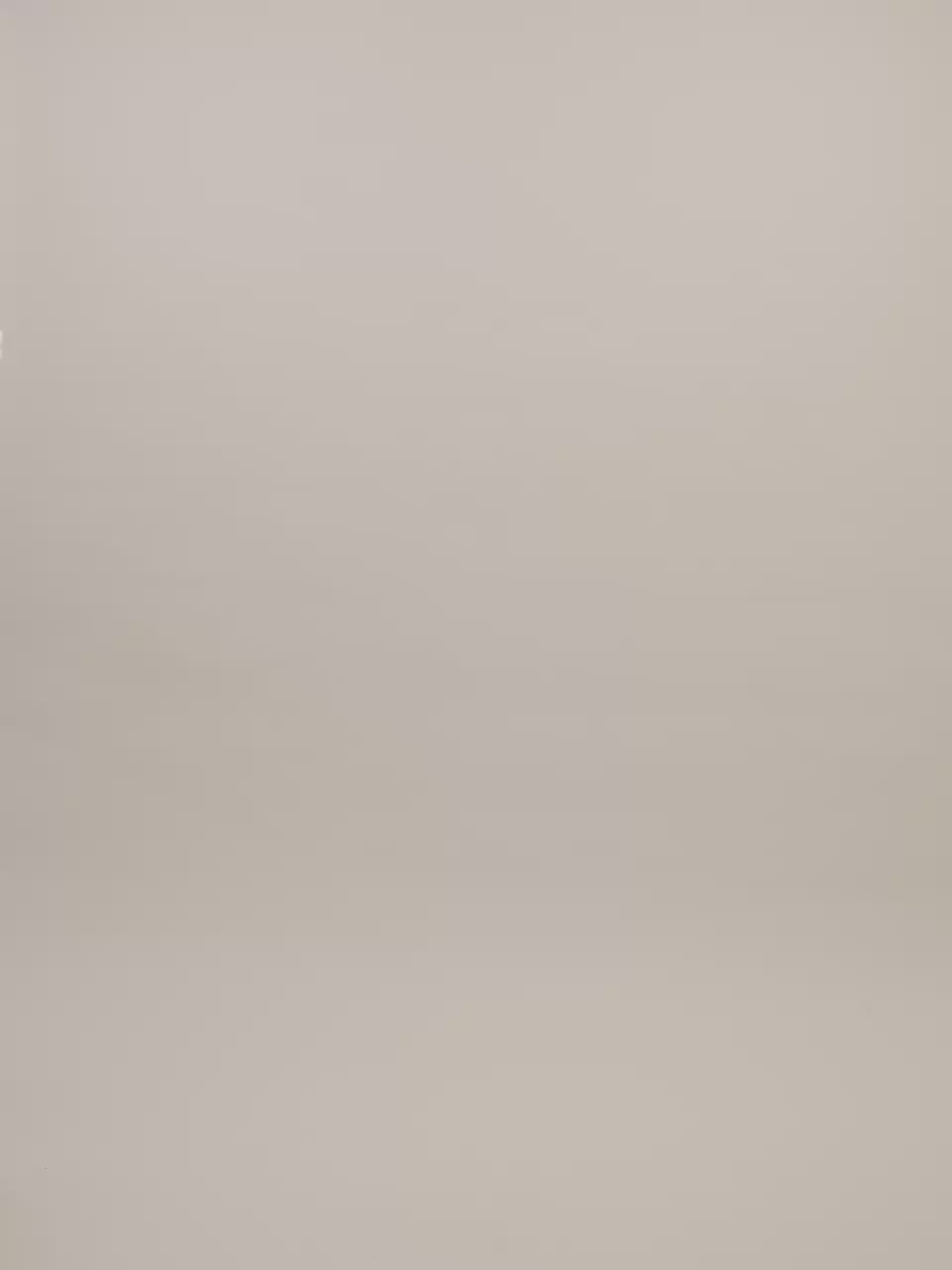 Yara Poplin Top