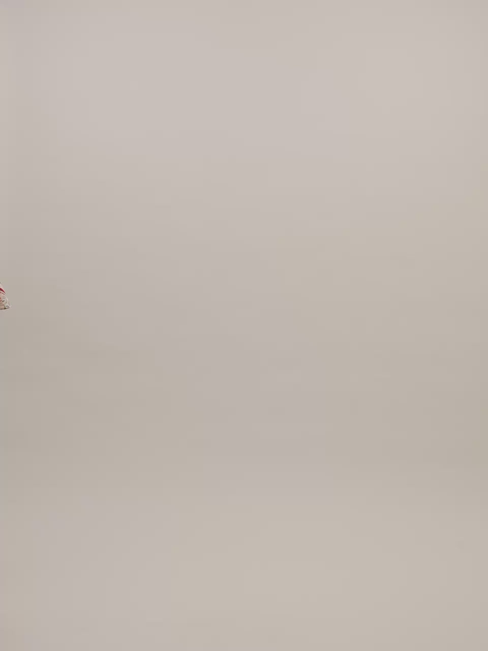 Irie Silky Top