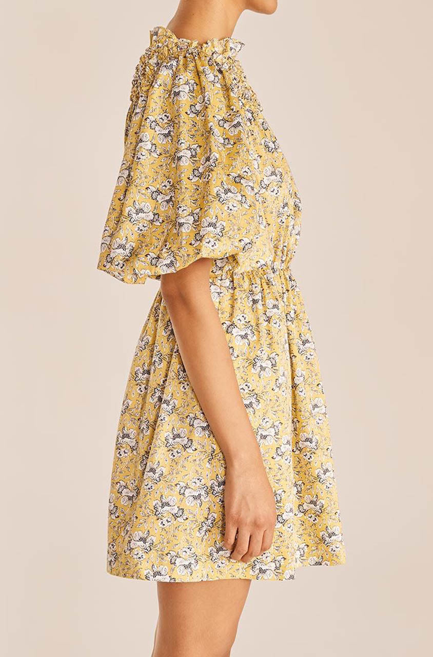 Intaglio Rose Smocked Dress