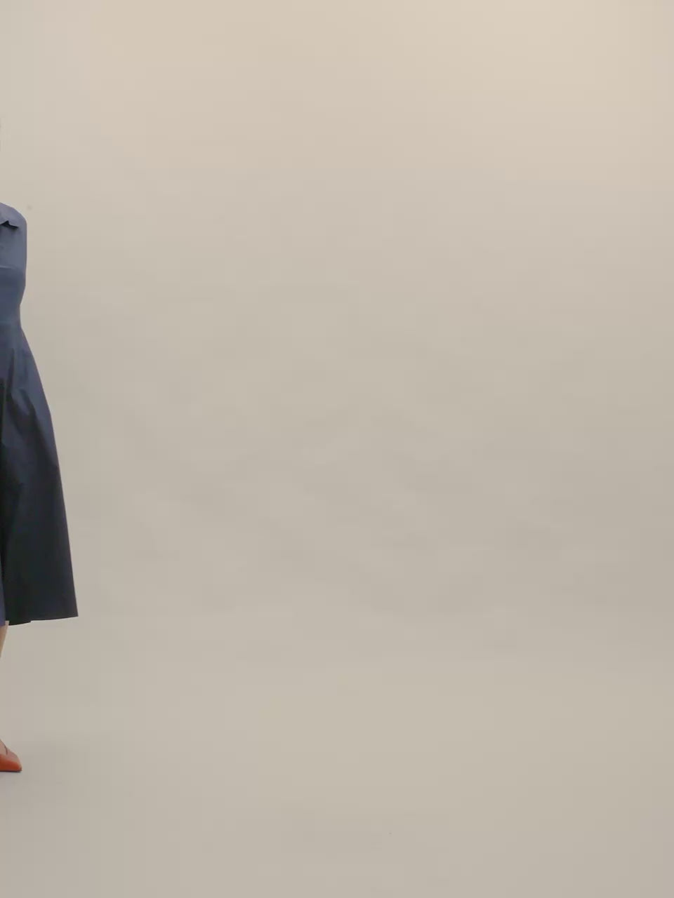 Aisley Poplin Dress
